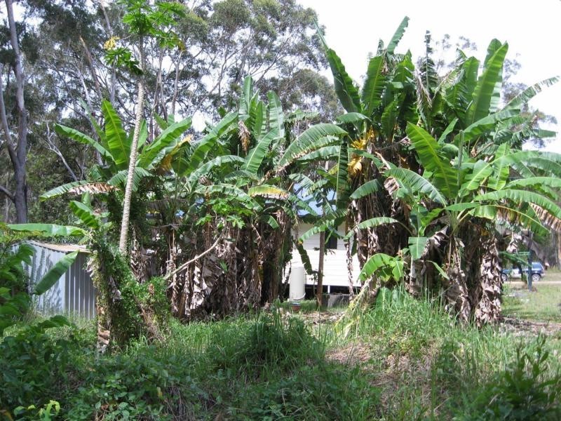 Russell Island QLD 4184