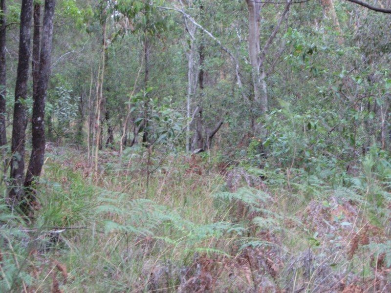 Russell Island QLD 4184