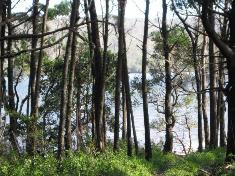 186 Canaipa Point Drive, Russell Island QLD 4184