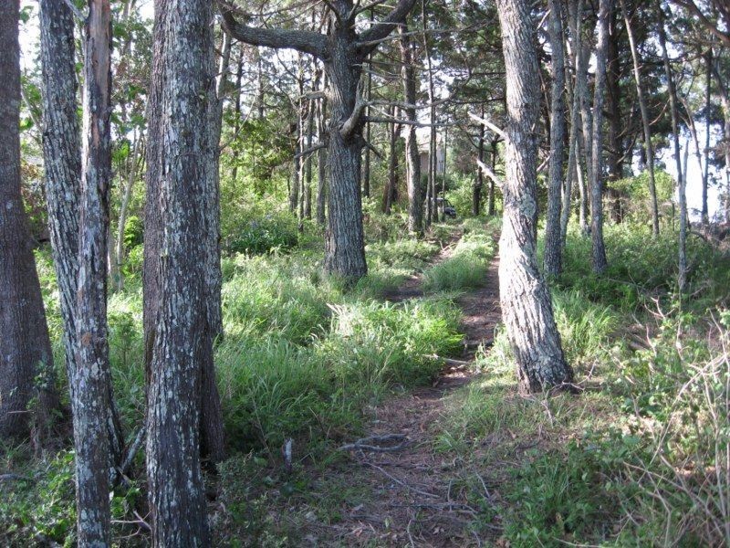 186 Canaipa Point Drive, Russell Island QLD 4184