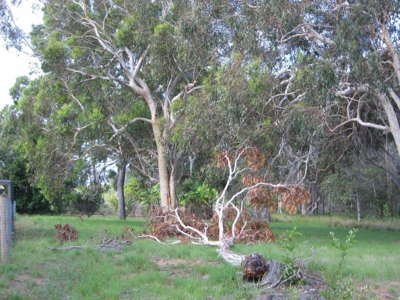 Russell Island QLD 4184