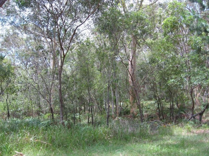 23 Basket Beach Road, Russell Island QLD 4184