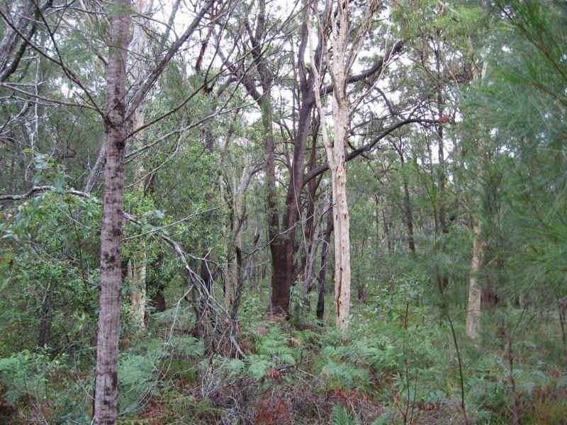 Russell Island QLD 4184
