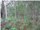 Russell Island QLD 4184