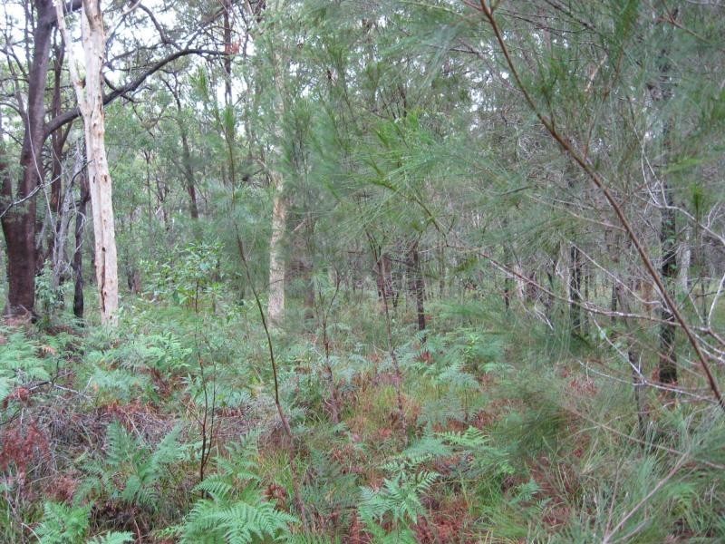 Russell Island QLD 4184