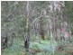 Russell Island QLD 4184