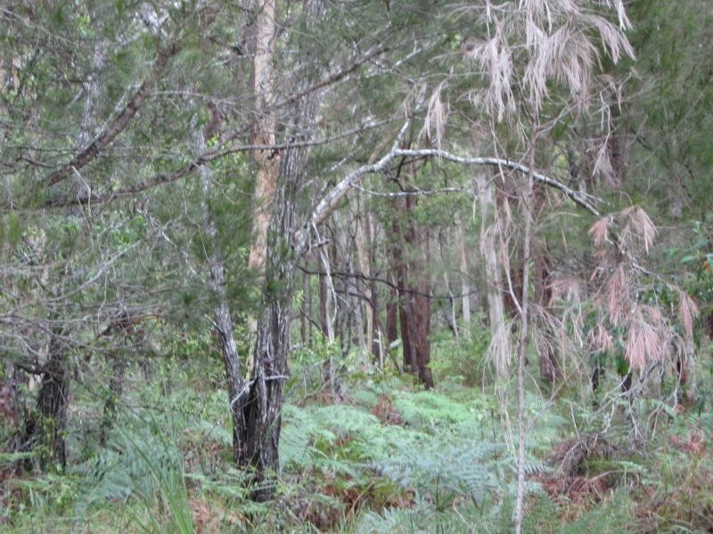 Russell Island QLD 4184