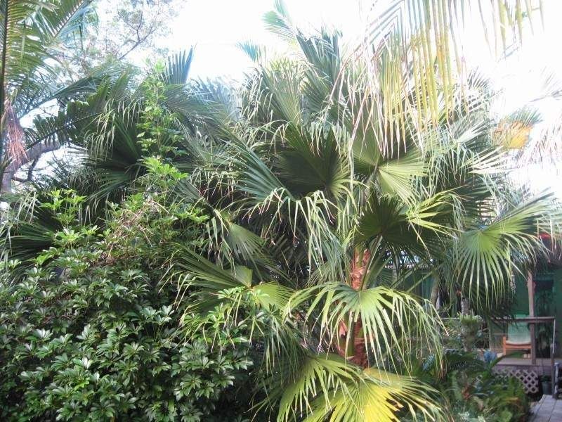 Russell Island QLD 4184