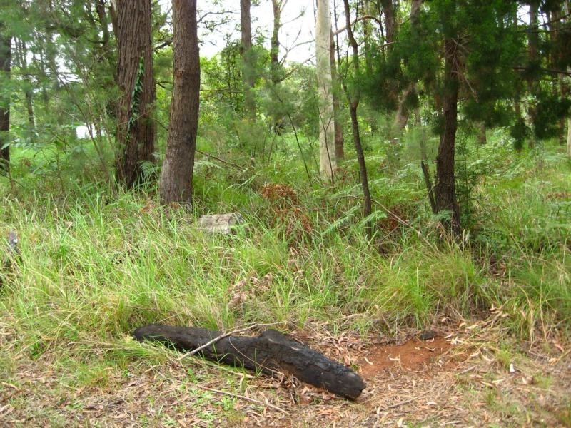 Russell Island QLD 4184