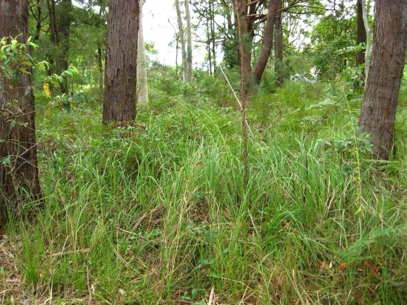 Russell Island QLD 4184