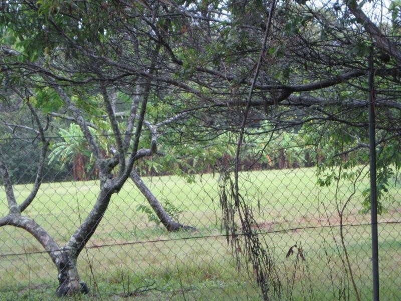 Russell Island QLD 4184