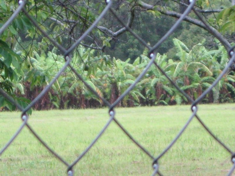 Russell Island QLD 4184