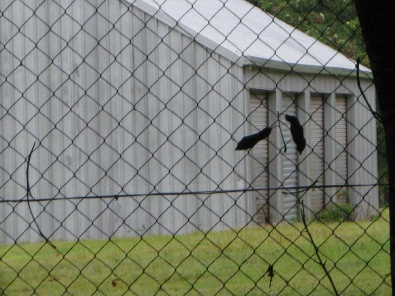 Russell Island QLD 4184