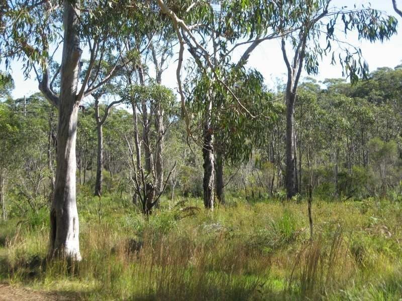 Russell Island QLD 4184