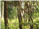 Russell Island QLD 4184