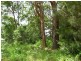 Russell Island QLD 4184