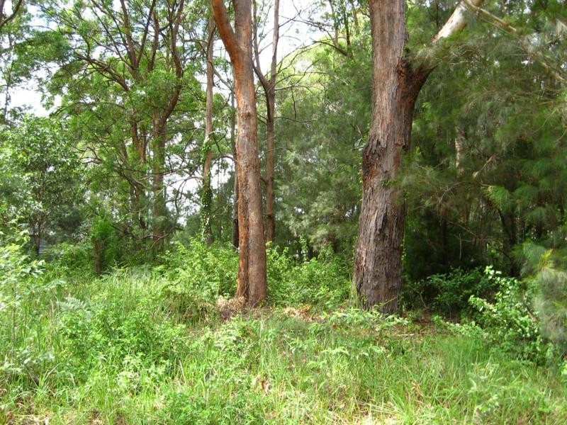 Russell Island QLD 4184