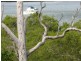Russell Island QLD 4184