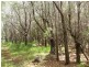 Russell Island QLD 4184