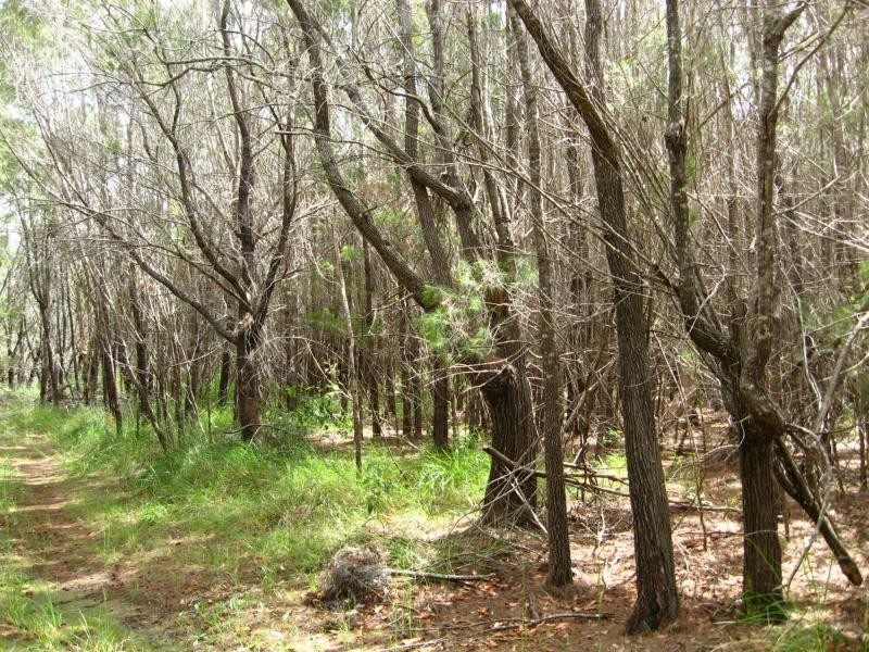 Russell Island QLD 4184