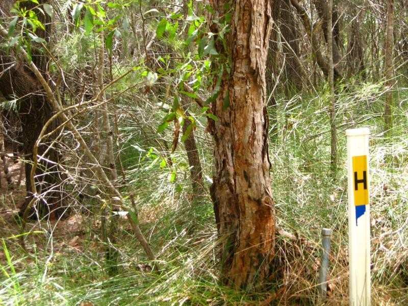Russell Island QLD 4184