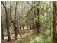 Russell Island QLD 4184