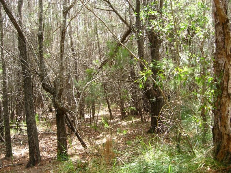 Russell Island QLD 4184