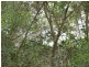 Russell Island QLD 4184