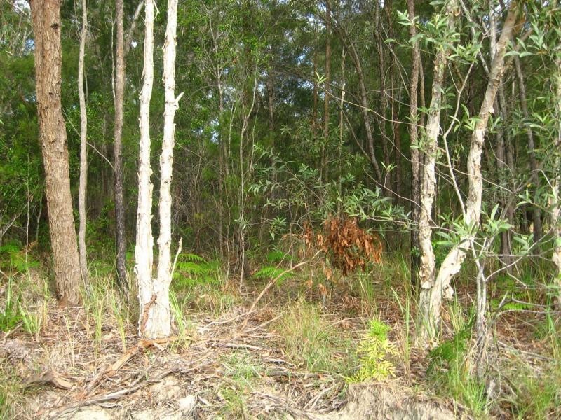 323 Centre Road, Russell Island QLD 4184