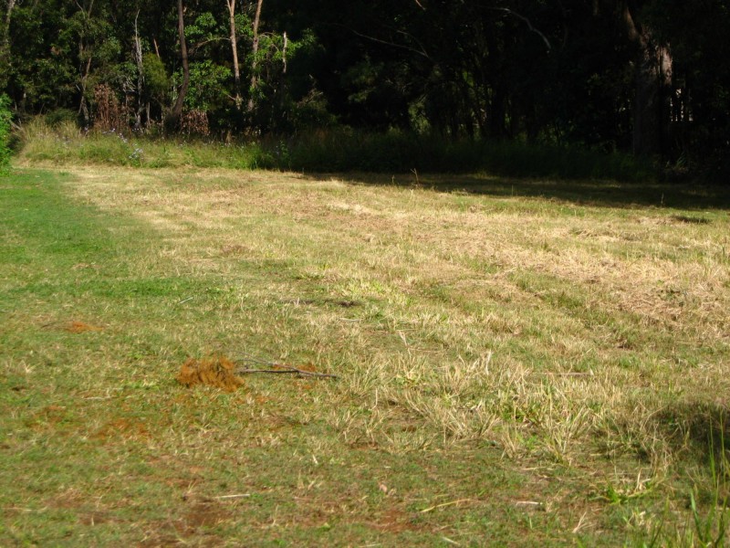 100 Jackson Road, Russell Island QLD 4184