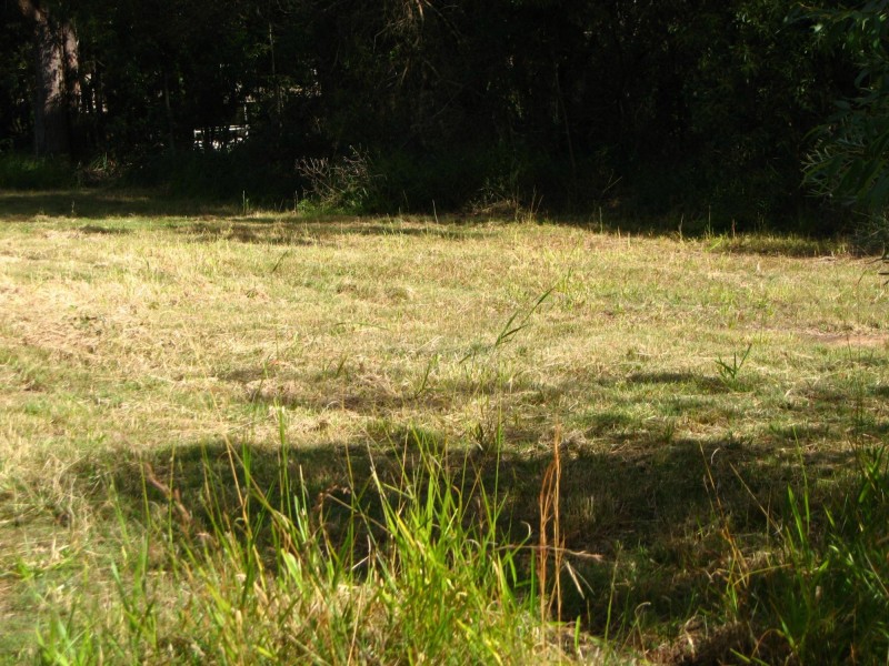 100 Jackson Road, Russell Island QLD 4184