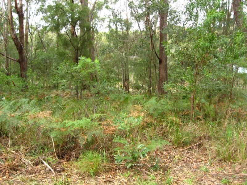 Russell Island QLD 4184