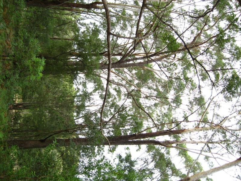 Russell Island QLD 4184