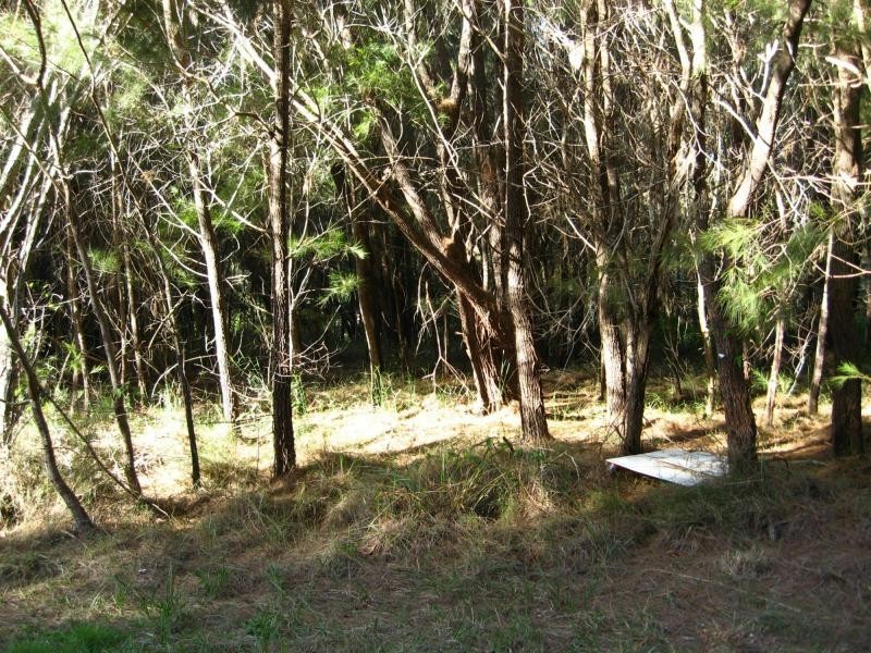 Russell Island QLD 4184