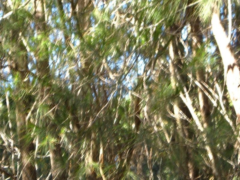 Russell Island QLD 4184