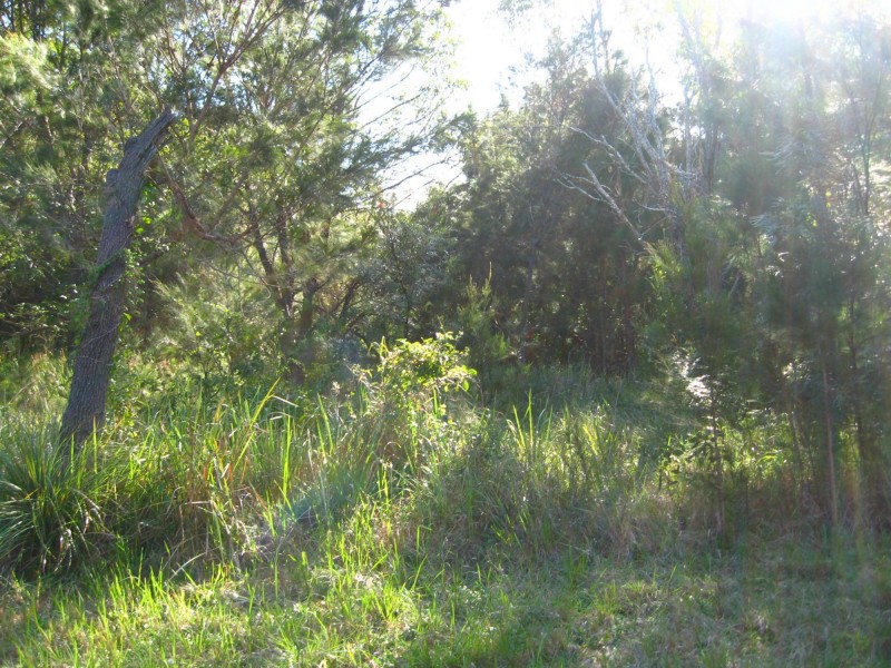 10 Double Island Outlook St, Russell Island QLD 4184