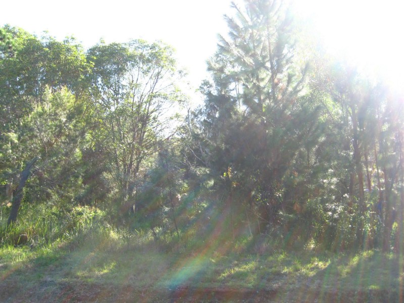 10 Double Island Outlook St, Russell Island QLD 4184