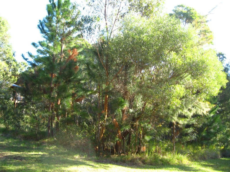 10 Double Island Outlook St, Russell Island QLD 4184