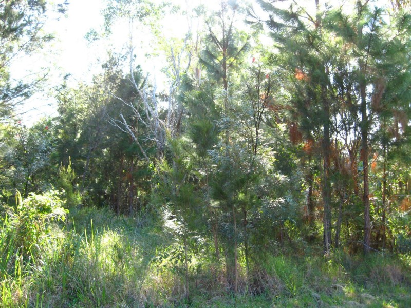 10 Double Island Outlook St, Russell Island QLD 4184