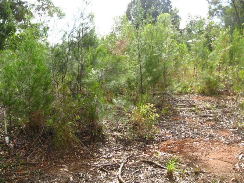 Russell Island QLD 4184