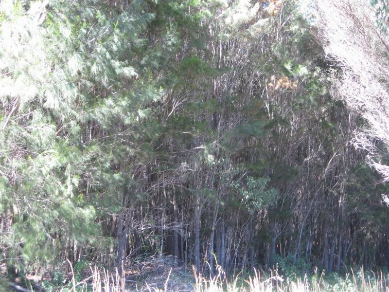 Russell Island QLD 4184