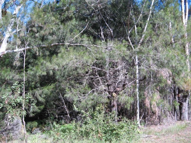 Russell Island QLD 4184