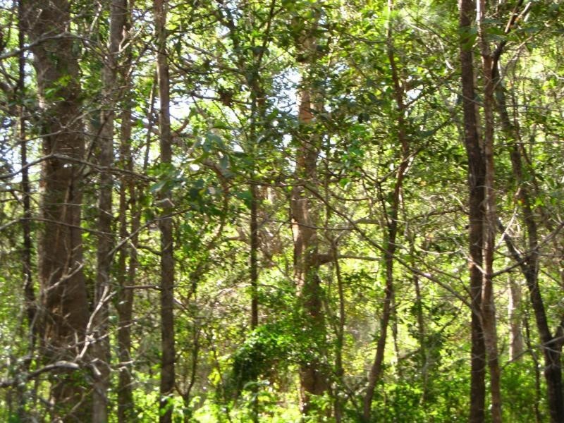 Russell Island QLD 4184