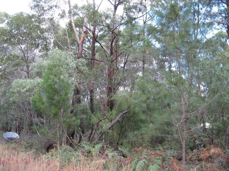 Russell Island QLD 4184