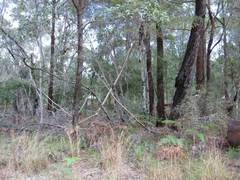 Russell Island QLD 4184