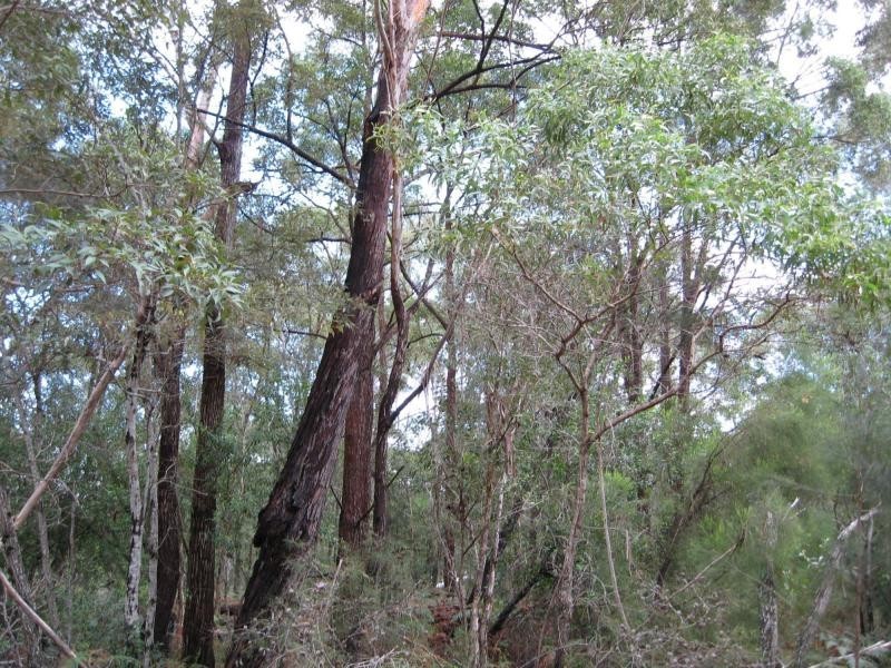 Russell Island QLD 4184