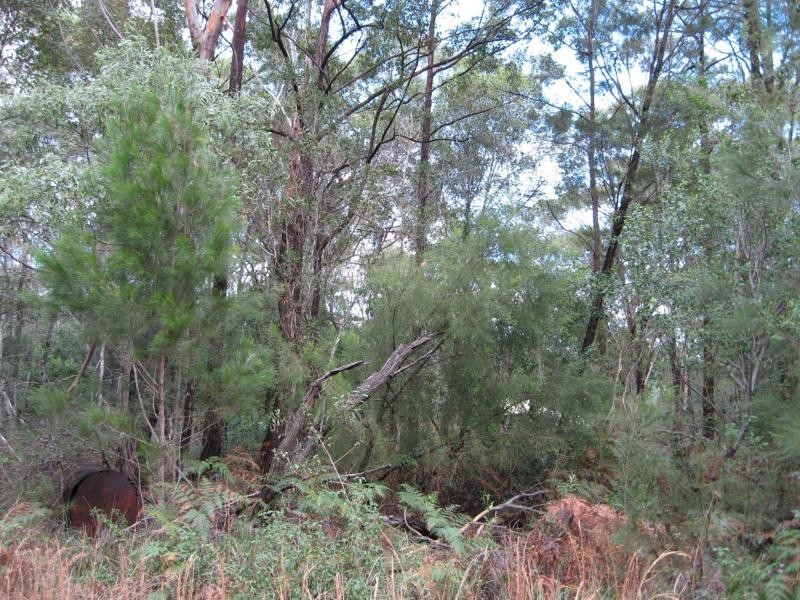 Russell Island QLD 4184