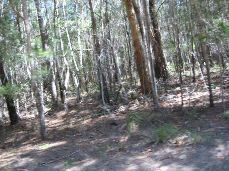 Russell Island QLD 4184