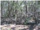 Russell Island QLD 4184