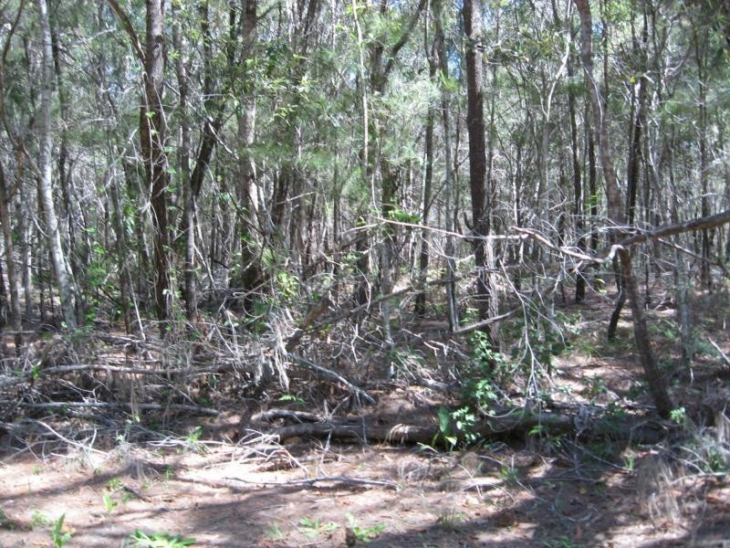 Russell Island QLD 4184